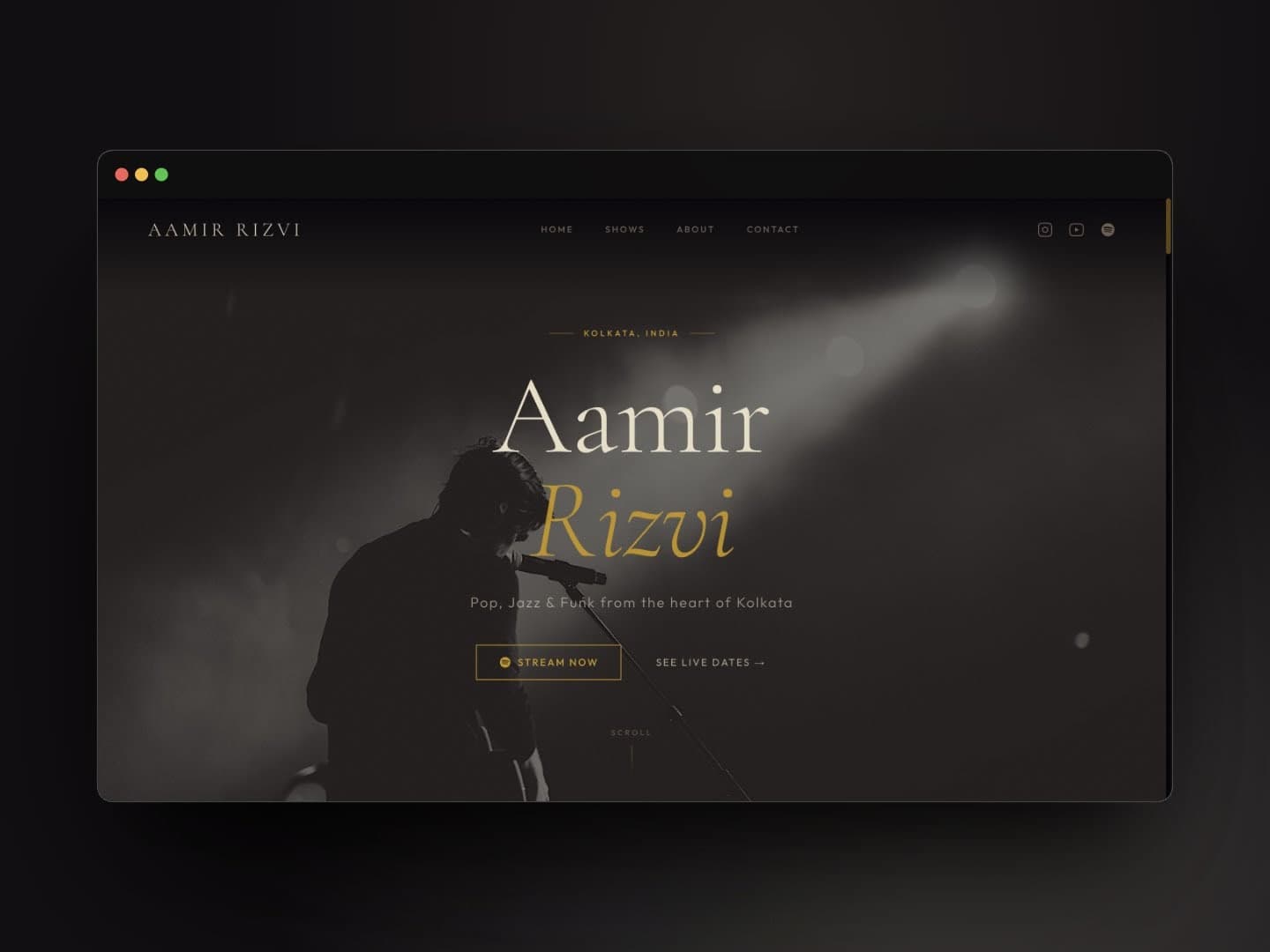 Aamir Rizvi website