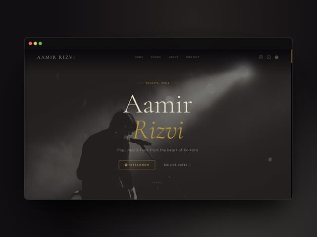 Client website — Aamir Rizvi